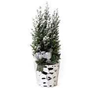 Arvore de Natal - CX03 - A 30-40 cm